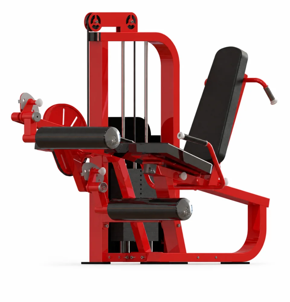 Leg Extension with Curl
