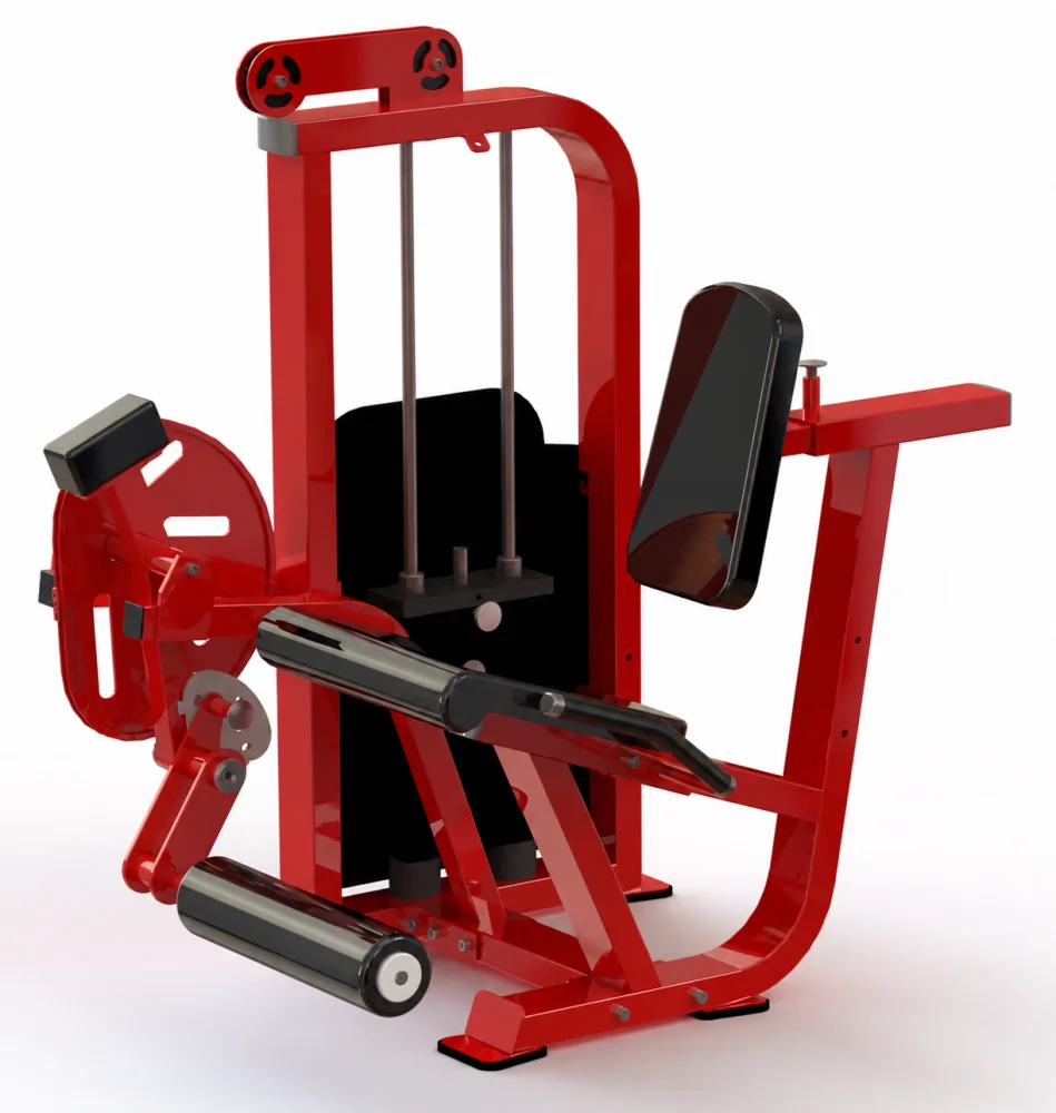Leg Extension